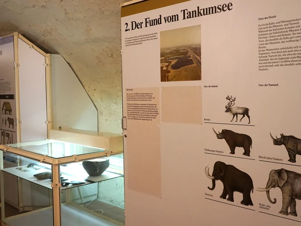 museum-schloss-gifhorn-steinzeitliche-tiere-beate-ziehres.jpg