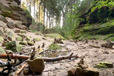Gautschgrotte Hohnstein Ein bewaldeter Pfad mit moosbedeckten Felsen und zahlreichen kleinen Steintürmen, umgeben von hohen Bäumen und sanftem Licht.