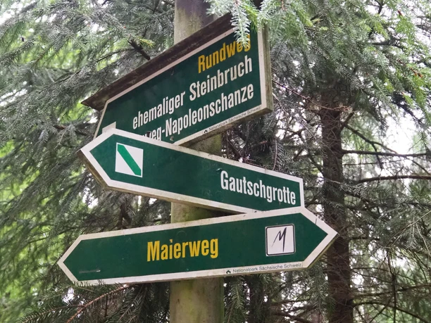 Beschilderung zur Gautschgrotte in Hohnstein Grüne Wegweiser im Wald zeigen zu "ehemaliger Steinbruch", "Gautschgrotte" und "Maierweg" im Nationalpark Sächsische Schweiz.