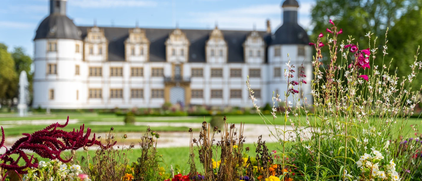 Paderborn-SchlossNeuhaus-Teutoburger-Wald-Tourismus-Patrick-Gawandtka-122-CC-BY-SA.jpg Barockschloss Neuhaus in Paderborn mit blühenden, bunten Blumen im Vordergrund bei sonnigem Wetter.