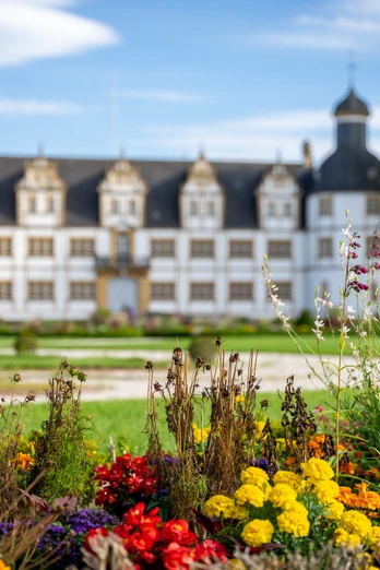 Paderborn-SchlossNeuhaus-Teutoburger-Wald-Tourismus-Patrick-Gawandtka-122-CC-BY-SA.jpg Barockschloss Neuhaus in Paderborn mit blühenden, bunten Blumen im Vordergrund bei sonnigem Wetter.