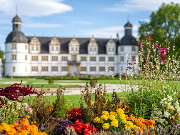 Paderborn-SchlossNeuhaus-Teutoburger-Wald-Tourismus-Patrick-Gawandtka-122-CC-BY-SA.jpg Barockschloss Neuhaus in Paderborn mit blühenden, bunten Blumen im Vordergrund bei sonnigem Wetter.