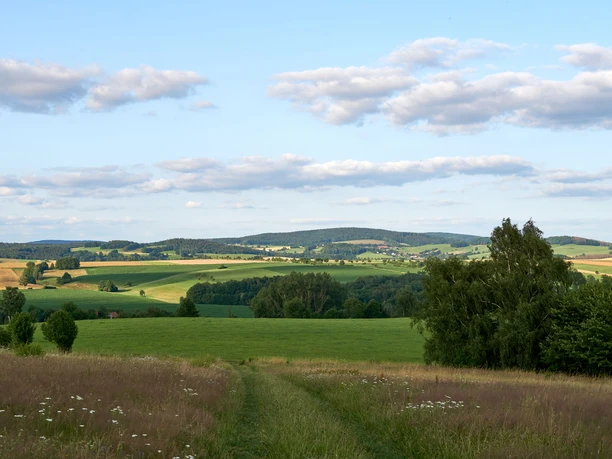 Napoleon redoubt Hohnstein Wide landscape with green fields and hills under a blue sky with scattered clouds, a path and trees in the foreground.