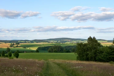 Napoleonschanze Hohnstein Weite Landschaft mit grünen Feldern und Hügeln unter blauem Himmel mit vereinzelten Wolken, im Vordergrund ein Pfad und Bäume.