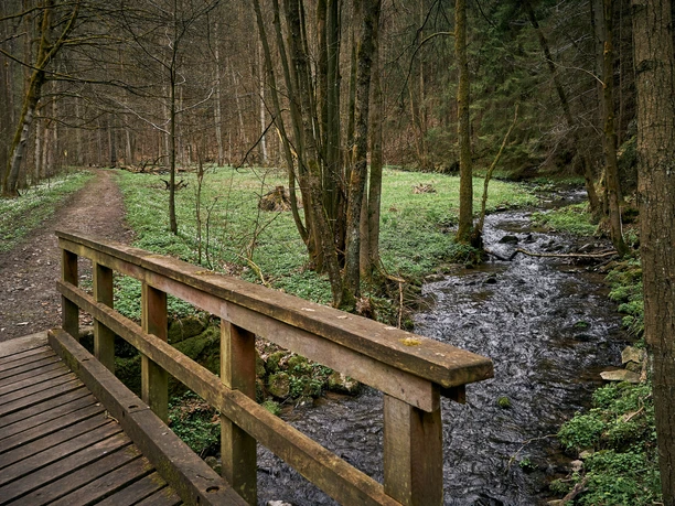 Dřevěný most přes malý potok v zeleném lese, vedle úzké turistické stezky; klidná, přírodní atmosféra.