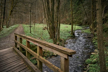 Schwarzbachtal Holzbrücke über einen kleinen Bach in einem grünen Wald, daneben ein schmaler Wanderweg; ruhige, natürliche Atmosphäre.