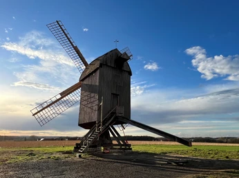 Mühle Neuenknick Historische Holzwindmühle vor blauem Himmel auf Wiese, seitlich beleuchtet von warmem Licht.