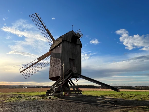 Mühle Neuenknick Historische Holzwindmühle vor blauem Himmel auf Wiese, seitlich beleuchtet von warmem Licht.