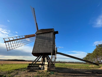 Mühle Neuenknick Historische Windmühle Neuenknick auf einem offenen Feld unter blauem Himmel, umgeben von grüner Natur.