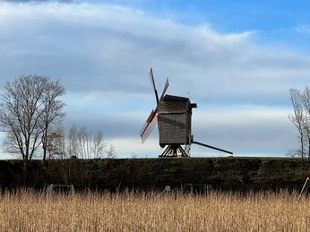 Mühle Neuenknick Eine historische Windmühle steht malerisch auf einem Hügel, umgeben von kahlen Herbstbäumen und Schilf.