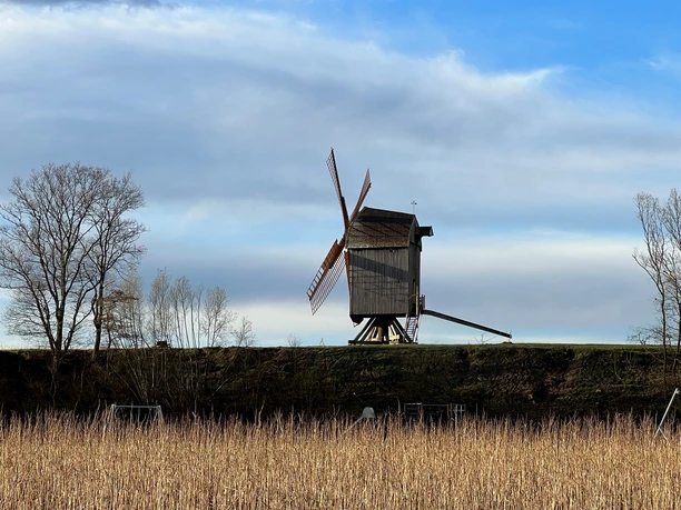 Eine historische Windmühle steht malerisch auf einem Hügel, umgeben von kahlen Herbstbäumen und Schilf.