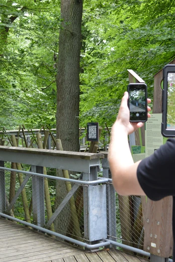 Baumwipfelpfad Bad Iburg_Teutoburger Wald Tourismus.JPG Person fotografiert mit Tablet einen hölzernen Baumkronenpfad im grünen Wald des Teutoburger Waldes.