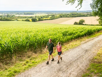 Zwei Wanderer auf einem Feldweg im Teutoburger Wald mit Blick auf weite Felder und Waldgebiete.