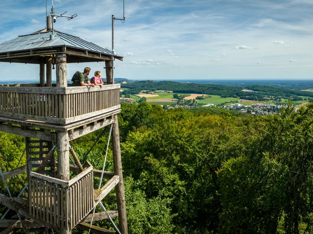 Borgholzhausen-Luisenturm-Teutoburger-Wald-Tourismus-D-Ketz-055.jpg Holzturm vor weitläufiger Landschaft mit Wäldern, Wiesen und Dorf im Teutoburger Wald bei Borgholzhausen.