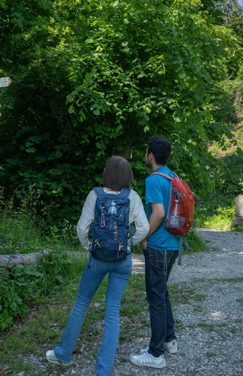 Wanderer betrachten Wegweiser vor dem Hagedorn-Denkmal im Teutoburger Wald, umgeben von üppigem Grün.