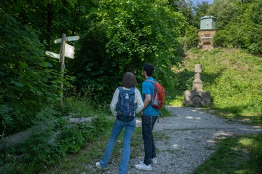 Halle-HagedornDenkmal-Teutoburger-Wald-Tourismus-Patrick-Gawandtka-088_lowres.jpg Wanderer betrachten Wegweiser vor dem Hagedorn-Denkmal im Teutoburger Wald, umgeben von üppigem Grün.