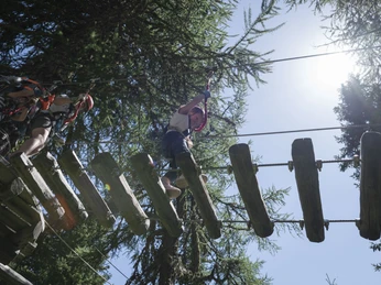 Seilpark Baschweri, Bettmeralp - Aletsch Arena Seilpark Baschweri, Bettmeralp - Aletsch Arena