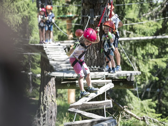 Seilpark Baschweri, Bettmeralp - Aletsch Arena Seilpark Baschweri, Bettmeralp - Aletsch Arena