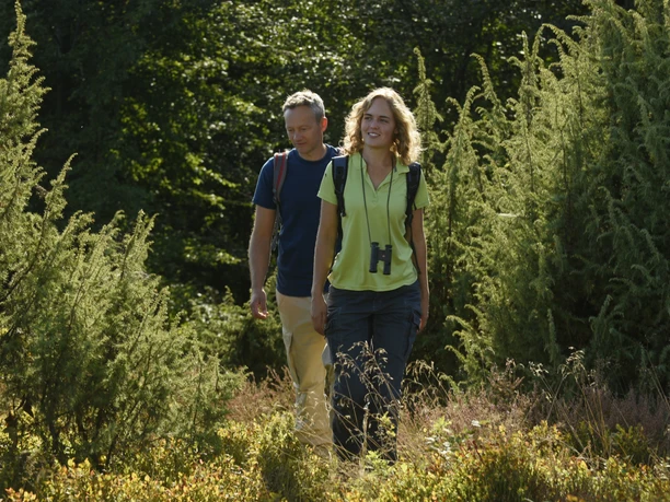 Zwei Personen wandern auf einem naturbelassenen Weg durch die Wacholderheiden im Teutoburger Wald.