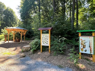 Ein Waldweg führt zu Info-Tafeln und einer hölzernen Schutzhütte, umgeben von Bäumen und Sträuchern.