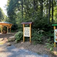 Ein Waldweg führt zu Info-Tafeln und einer hölzernen Schutzhütte, umgeben von Bäumen und Sträuchern.