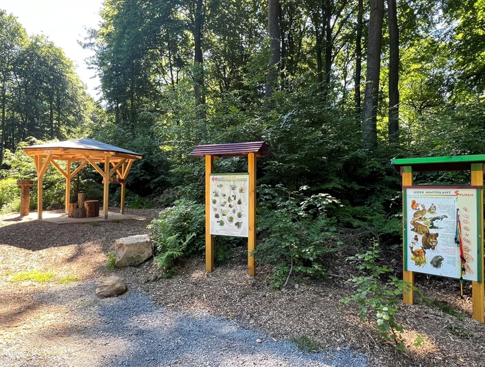 Ein Waldweg führt zu Info-Tafeln und einer hölzernen Schutzhütte, umgeben von Bäumen und Sträuchern.