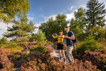 Ein Paar wandert auf einem Pfad durch eine Heide, umgeben von blühenden Sträuchern und Bäumen.