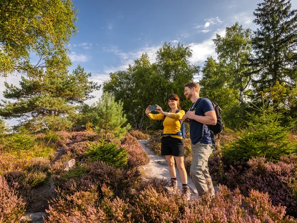 Ein Paar wandert auf einem Pfad durch eine Heide, umgeben von blühenden Sträuchern und Bäumen.