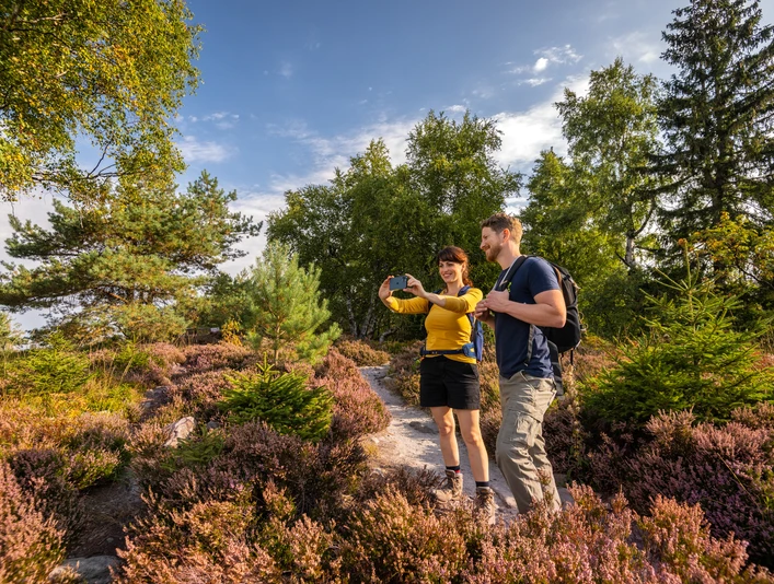 Ein Paar wandert auf einem Pfad durch eine Heide, umgeben von blühenden Sträuchern und Bäumen.