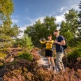 Lippischer Velmerstot-Kreis Lippe-Teutoburger-Wald-Tourismus-D-Ketz-013.jpg Ein Paar wandert auf einem Pfad durch eine Heide, umgeben von blühenden Sträuchern und Bäumen.