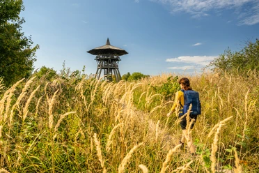 Eine Person wandert durch hohes Gras auf einen Holz-Aussichtsturm zu, umgeben von üppiger Natur.