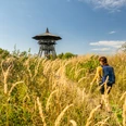 Eine Person wandert durch hohes Gras auf einen Holz-Aussichtsturm zu, umgeben von üppiger Natur.