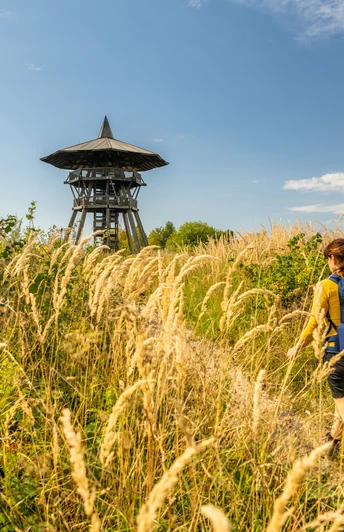 Eine Person wandert durch hohes Gras auf einen Holz-Aussichtsturm zu, umgeben von üppiger Natur.