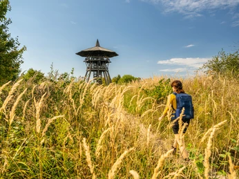 Eine Person wandert durch hohes Gras auf einen Holz-Aussichtsturm zu, umgeben von üppiger Natur.