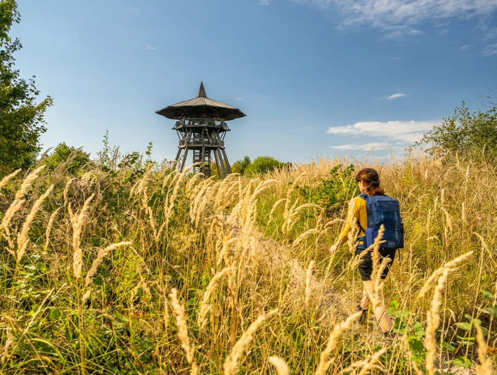 Eine Person wandert durch hohes Gras auf einen Holz-Aussichtsturm zu, umgeben von üppiger Natur.