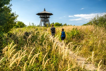 Zwei Wanderer gehen auf einem schmalen Weg durch hohes Gras, im Hintergrund ein hölzerner Aussichtsturm.