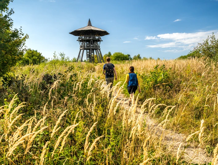 Preußischer Velmerstot-Kreis Lippe-Teutoburger-Wald-Tourismus-D-Ketz-044.jpg Zwei Wanderer gehen auf einem schmalen Weg durch hohes Gras, im Hintergrund ein hölzerner Aussichtsturm.