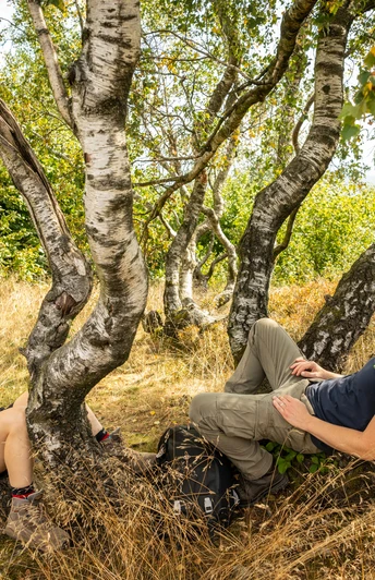Preußischer Velmerstot-Kreis Lippe-Teutoburger-Wald-Tourismus-D-Ketz-042.jpg Ein Mann und eine Frau entspannen sich unter knorrigen Birken auf einer sonnigen Wiese.