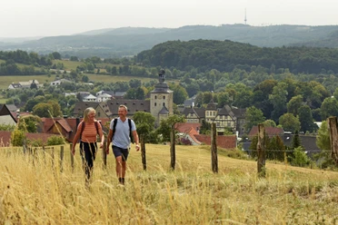 Bad-Driburg-Neuenheerse-Teutoburger-Wald-Tourismus-F-Grawe (14).JPG Zwei Wanderer auf einem Feldweg mit Blick auf Neuenheerse und die waldige Hügellandschaft.