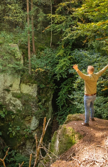 Ein Mann steht mit offenen Armen am Waldrand und blickt in eine bewaldete Schlucht.