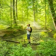 Silberbachtal-Horn-Bad Meinberg-Kreis Lippe-Teutoburger-Wald-Tourismus-D-Ketz-051.jpg Ein Wanderer genießt die Ruhe in einem sonnendurchfluteten, grünen Wald an einem kleinen Bach.