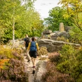 Zwei Wanderer erkunden einen steinigen Pfad im Wald, umgeben von Bäumen und buntem Heidekraut.