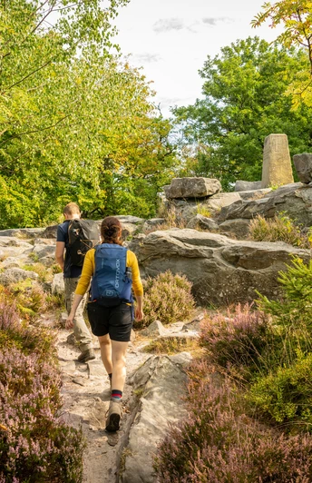 Zwei Wanderer erkunden einen steinigen Pfad im Wald, umgeben von Bäumen und buntem Heidekraut.