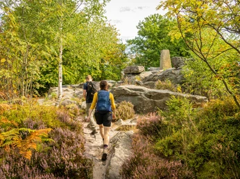 Zwei Wanderer erkunden einen steinigen Pfad im Wald, umgeben von Bäumen und buntem Heidekraut.