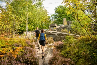 Lippischer Velmerstot-Kreis Lippe-Teutoburger-Wald-Tourismus-D-Ketz-034.jpg Zwei Wanderer erkunden einen steinigen Pfad im Wald, umgeben von Bäumen und buntem Heidekraut.