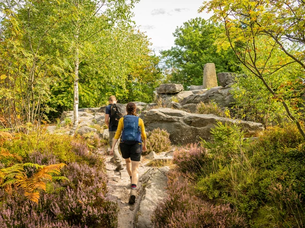 Lippischer Velmerstot-Kreis Lippe-Teutoburger-Wald-Tourismus-D-Ketz-034.jpg Zwei Wanderer erkunden einen steinigen Pfad im Wald, umgeben von Bäumen und buntem Heidekraut.