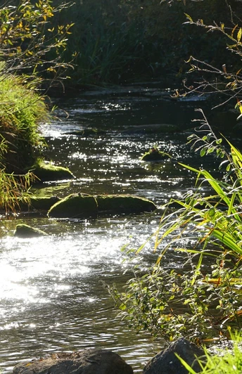 Schunteraue in Ochsendorf
