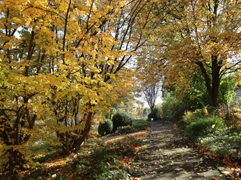 Weg mit buntem Laub im Botanischen Garten
