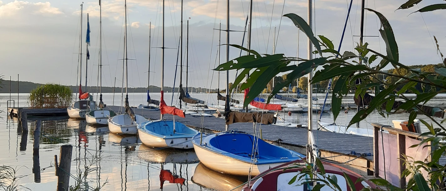 Blick von der Segelschule.jpg Blick von der Segelschule auf den See mit mehreren Segelbooten