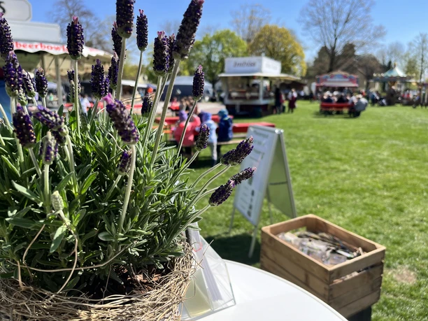 2022 Frühjahrsmarkt (2).jpeg